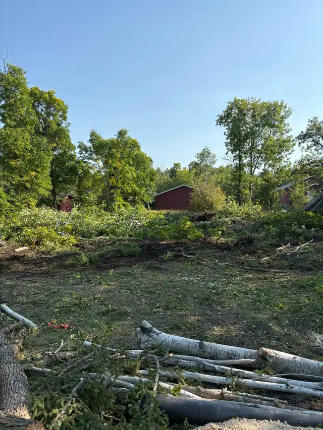 land clearing/leveling/skid steer