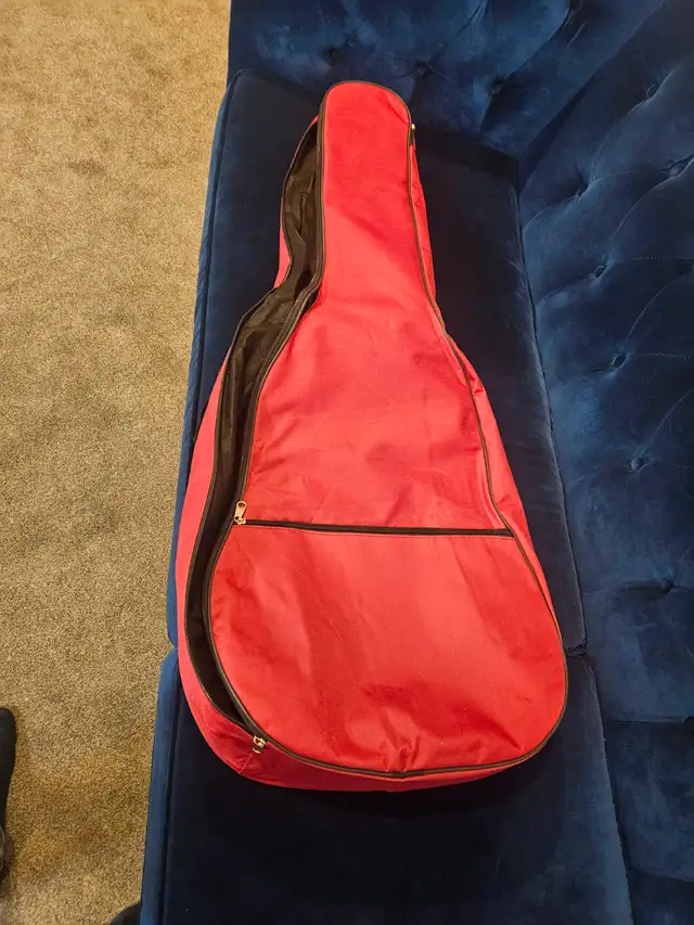 Free guitar gig bag.