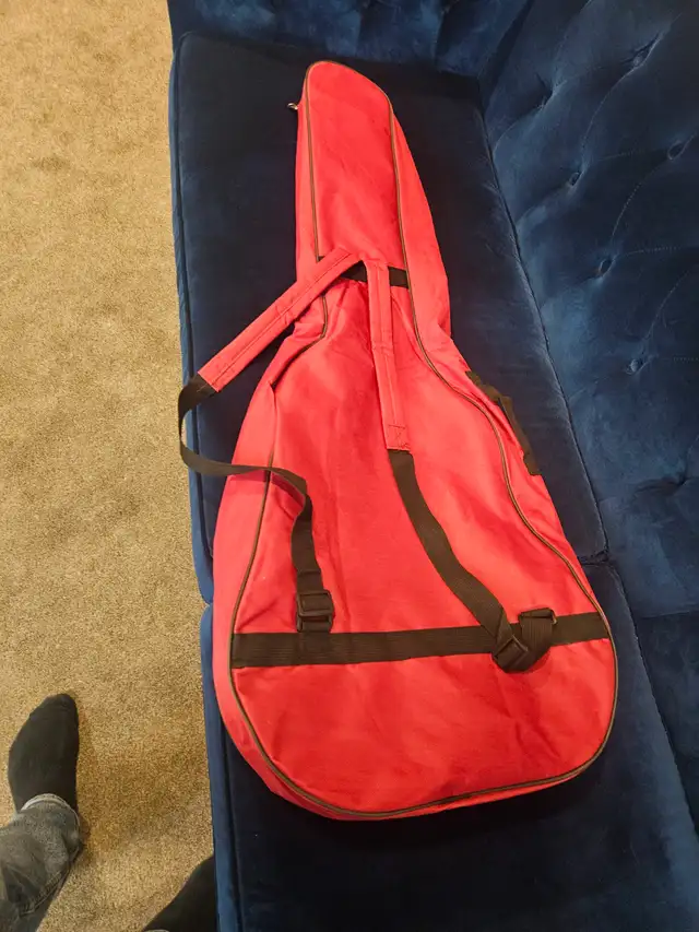 Free guitar gig bag. - Photo 2