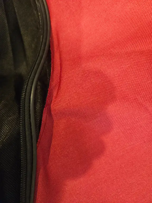 Free guitar gig bag. - Photo 4