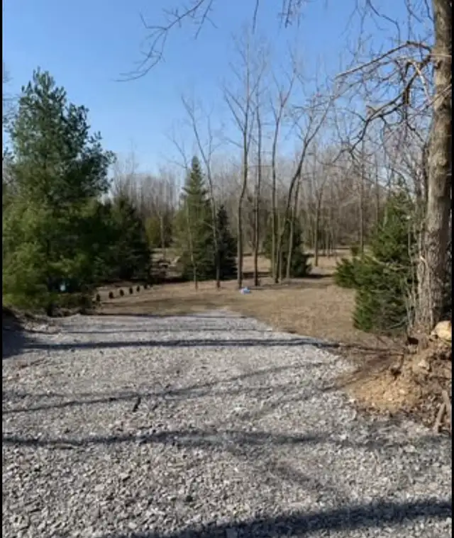 Land For Sale - Photo 3