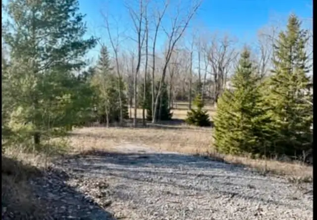 Land For Sale - Photo 8