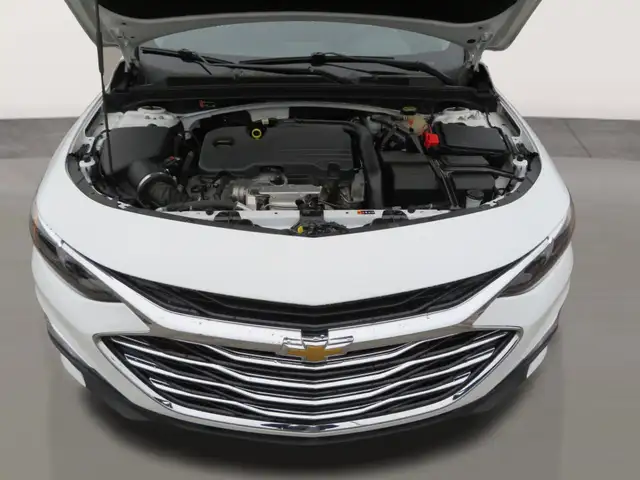 2022 Chevrolet Malibu 4dr Sdn LS w/1FL - Photo 21