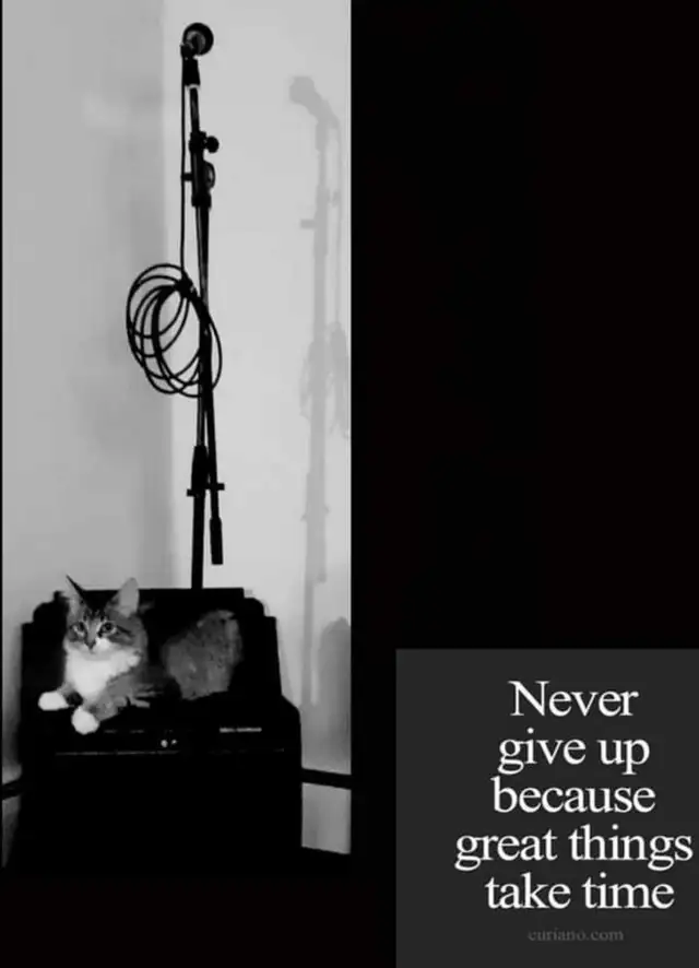 Singing Teacher - Photo 2