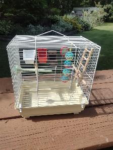 Bird cage