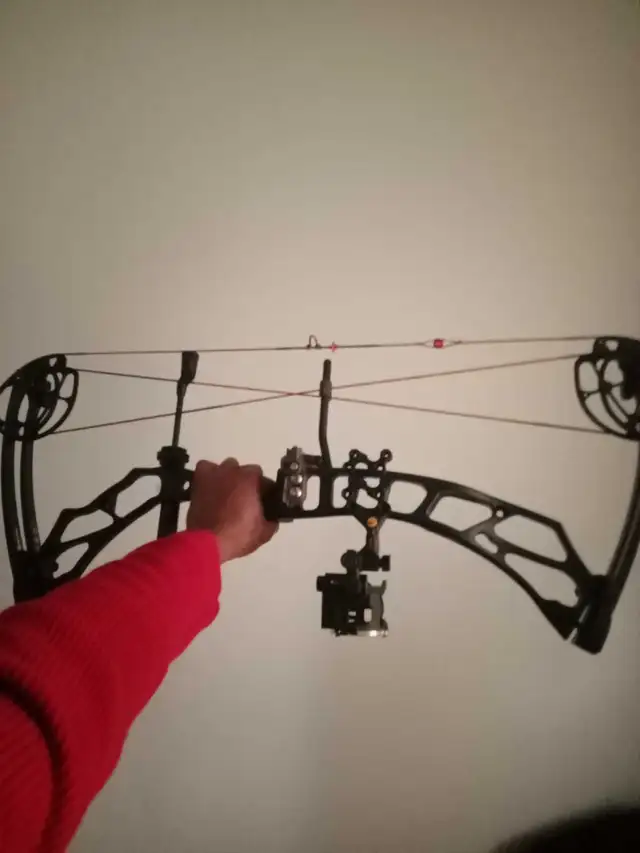 full custom elite valour bow, hope you love it! - Photo 3