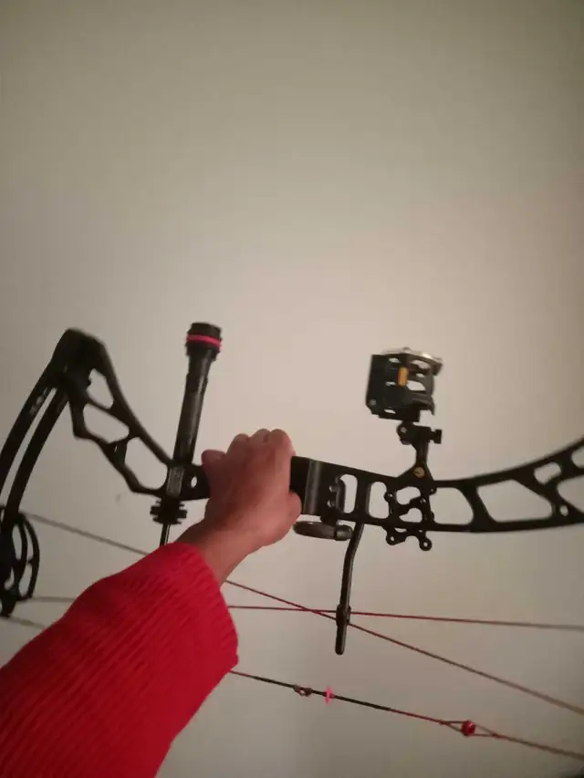 full custom elite valour bow, hope you love it! - Photo 5