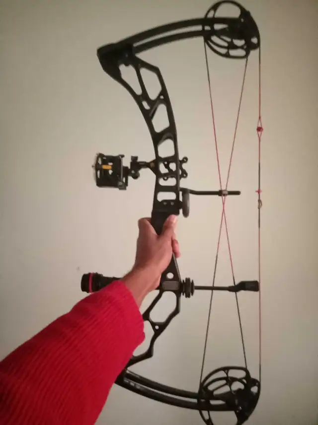 full custom elite valour bow, hope you love it! - Photo 6