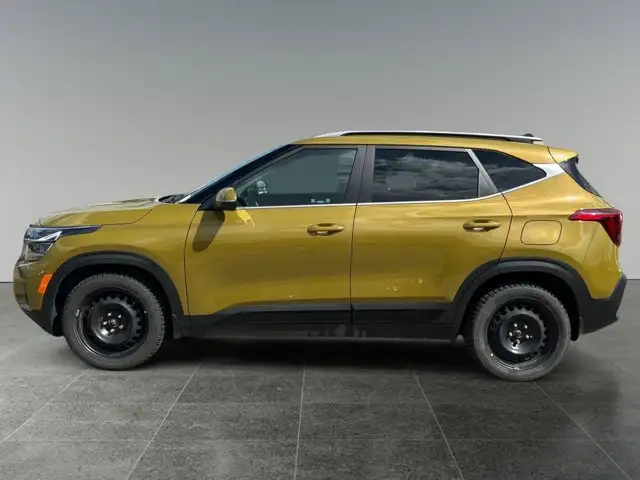 2024 Kia Seltos SX - Photo 2