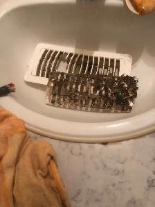 Professional cleaning services