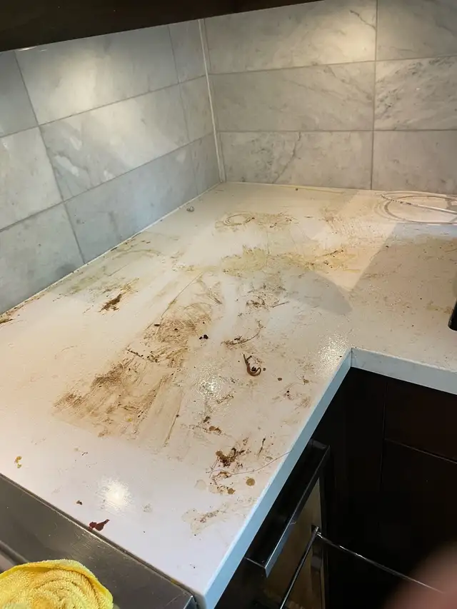 Professional cleaning services - Photo 5