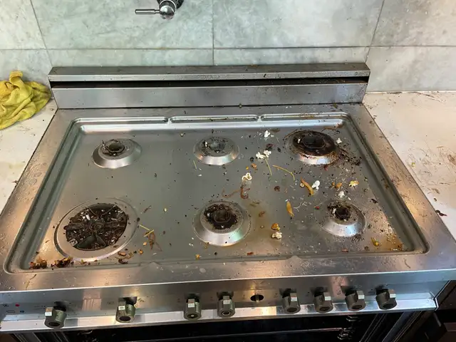 Professional cleaning services - Photo 7