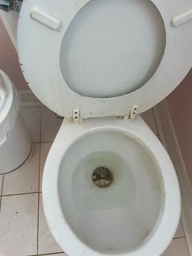 Professional cleaning services - Photo 9