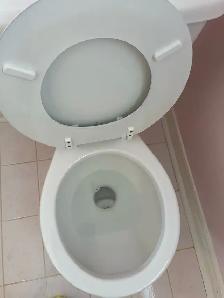 Professional cleaning services - Photo 10
