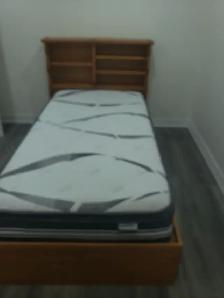 Room For Rent Near Humber Collage - Photo 2