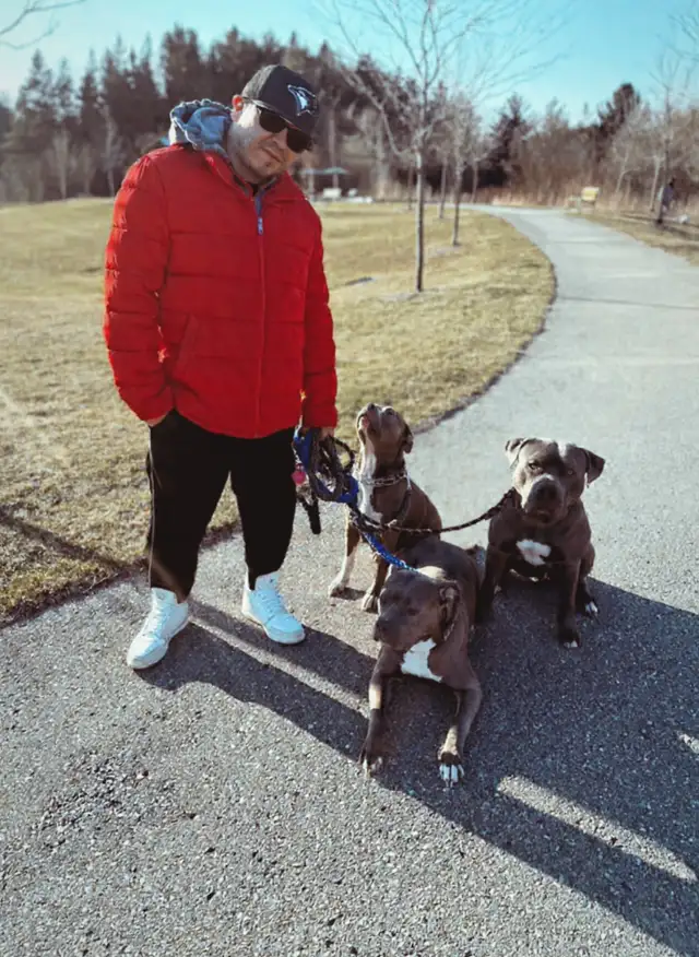 PUPPY AND ADULT DOG TRAINING - Photo 2