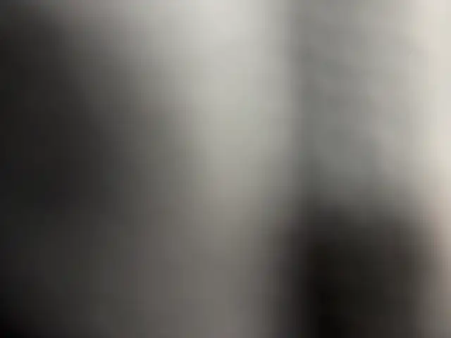 LOOKING FOR A PAINTING HELPER