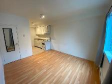 Bachelor Studio Apartment in Durand Neighbourhood - Photo 2
