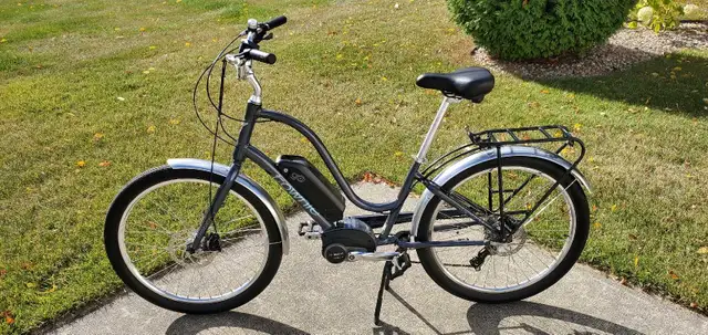 Electra Townie Go! Ebike - Photo 5