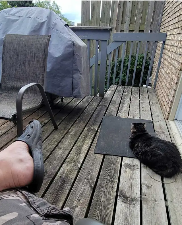 Deck restoration and outdoor service - Photo 3