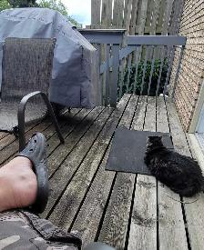 Deck restoration and outdoor service - Photo 3