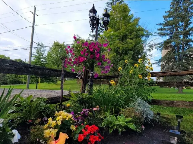Deck restoration and outdoor service - Photo 7