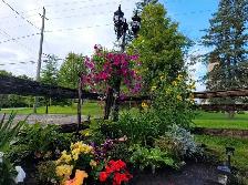 Deck restoration and outdoor service - Photo 7