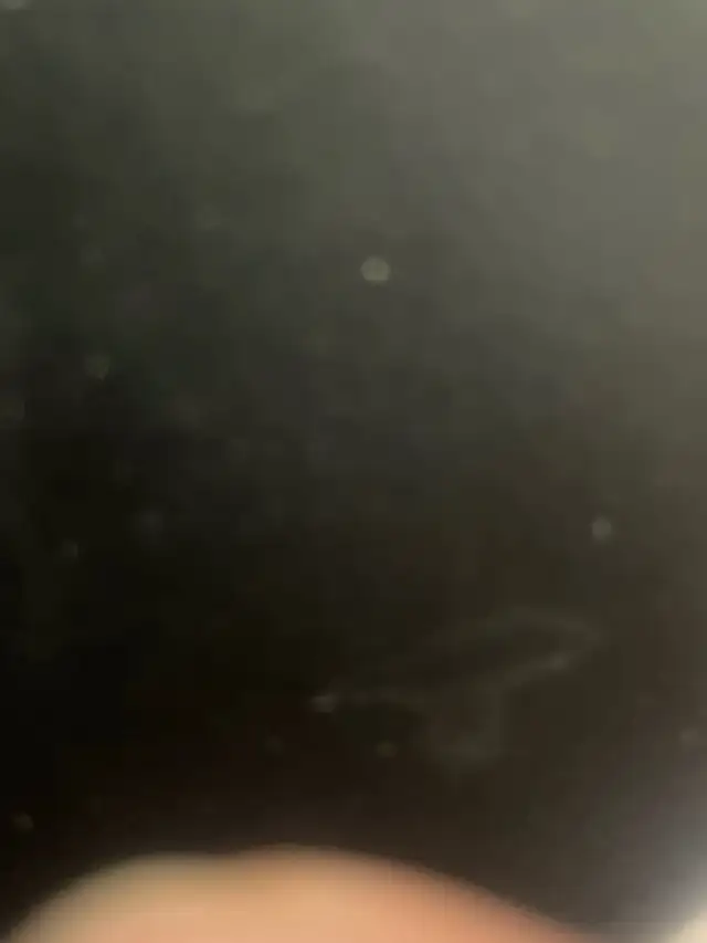 Customer service representative