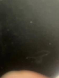 Customer service representative