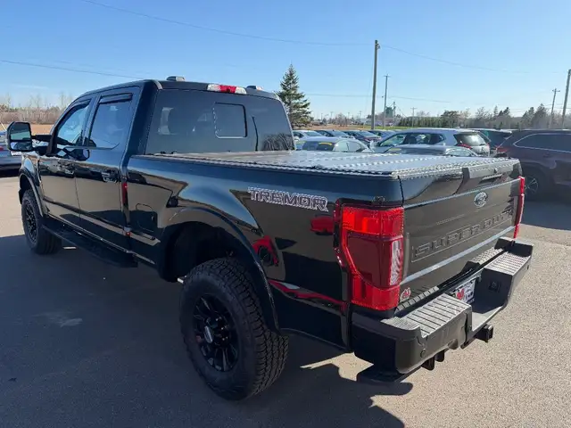 2022 Ford SUPER DUTY F-250 - Photo 4