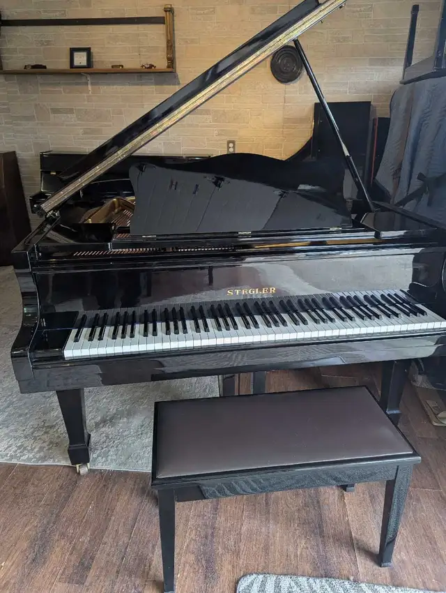 Stegler grand piano - Photo 2