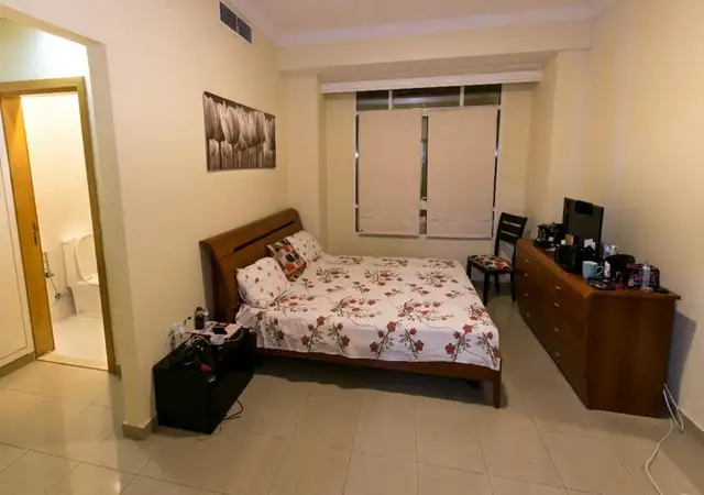 BASEMENT UNIT FOR RENT - JULY 1ST - ST THOMAS - FANSHAWE COLLEGE - Photo 4