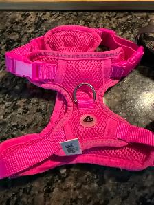 Small dog accessories