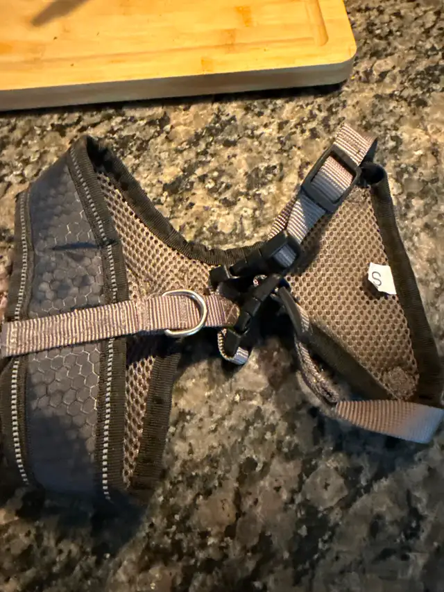 Small dog accessories - Photo 2