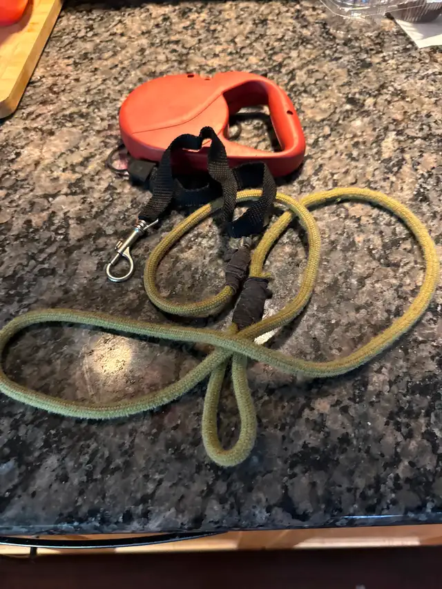 Small dog accessories - Photo 3