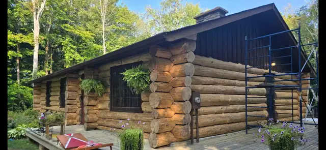 Northern Log Home (Refinishing Log Homes) - Photo 2