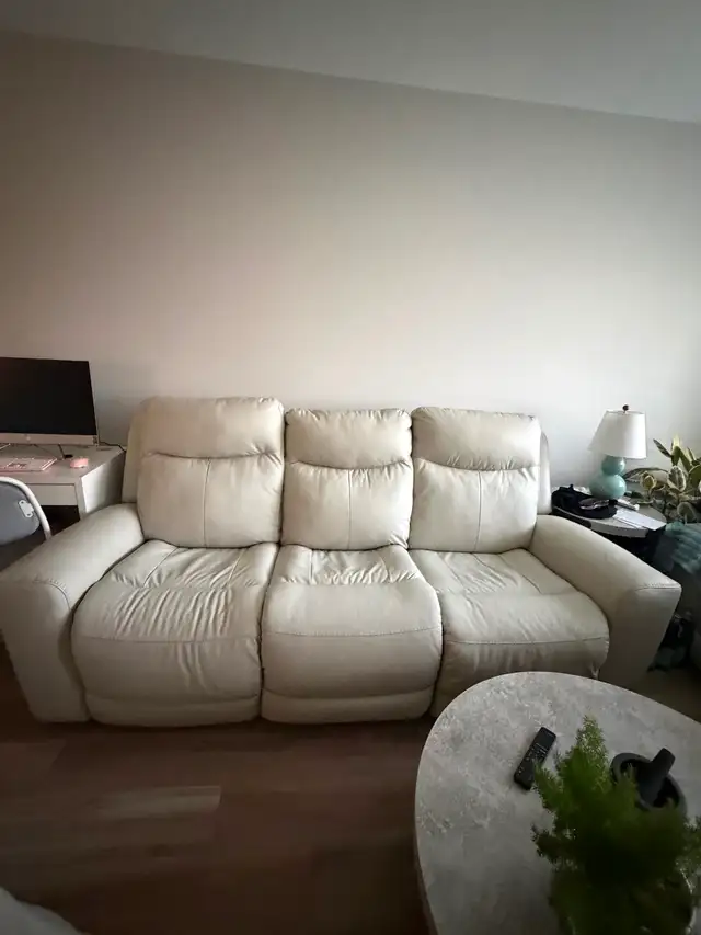 Electric Reclining Leather Sofa