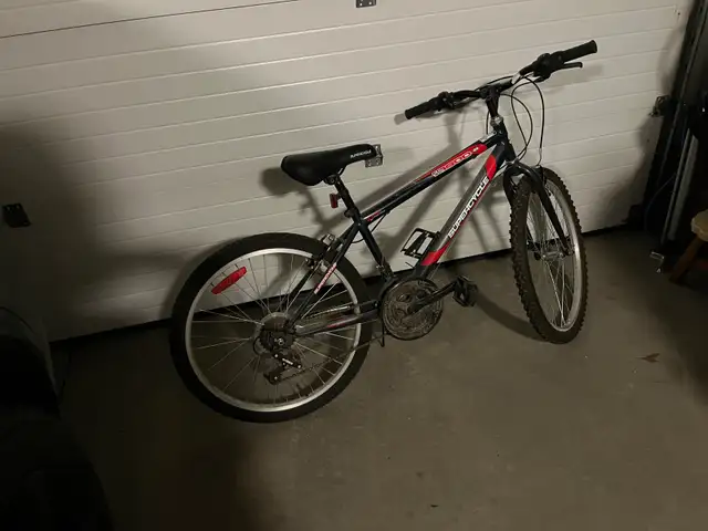 bicycle Youth size 24