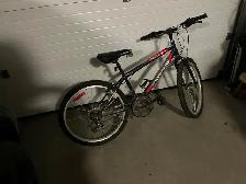 bicycle Youth size 24