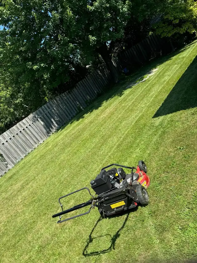 Grass Cutting