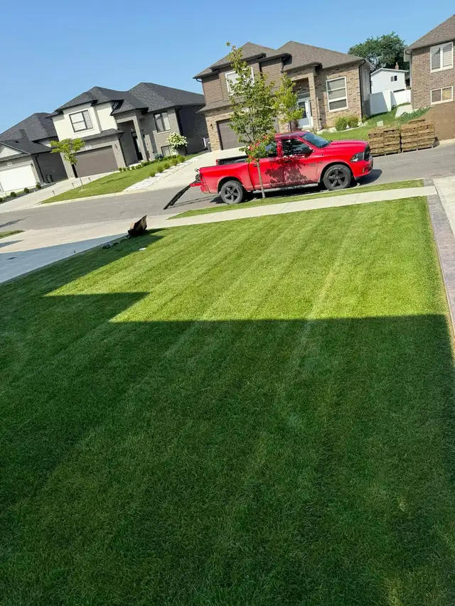 Grass Cutting - Photo 2