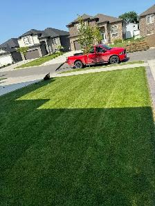 Grass Cutting - Photo 2