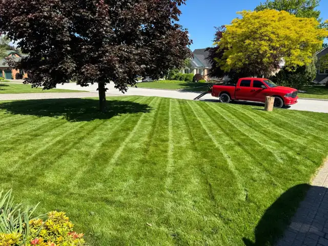 Grass Cutting - Photo 3