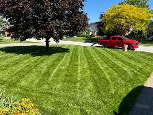 Grass Cutting - Photo 3