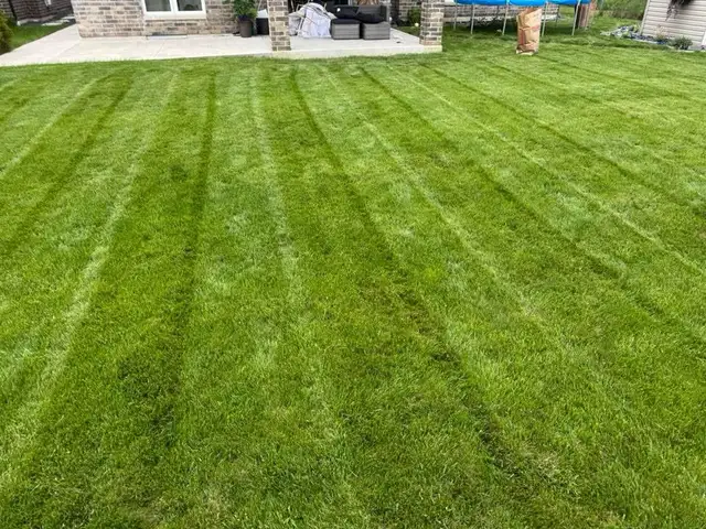 Grass Cutting - Photo 4