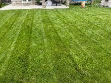 Grass Cutting - Photo 4