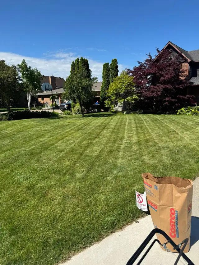 Grass Cutting - Photo 5