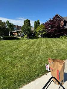 Grass Cutting - Photo 5