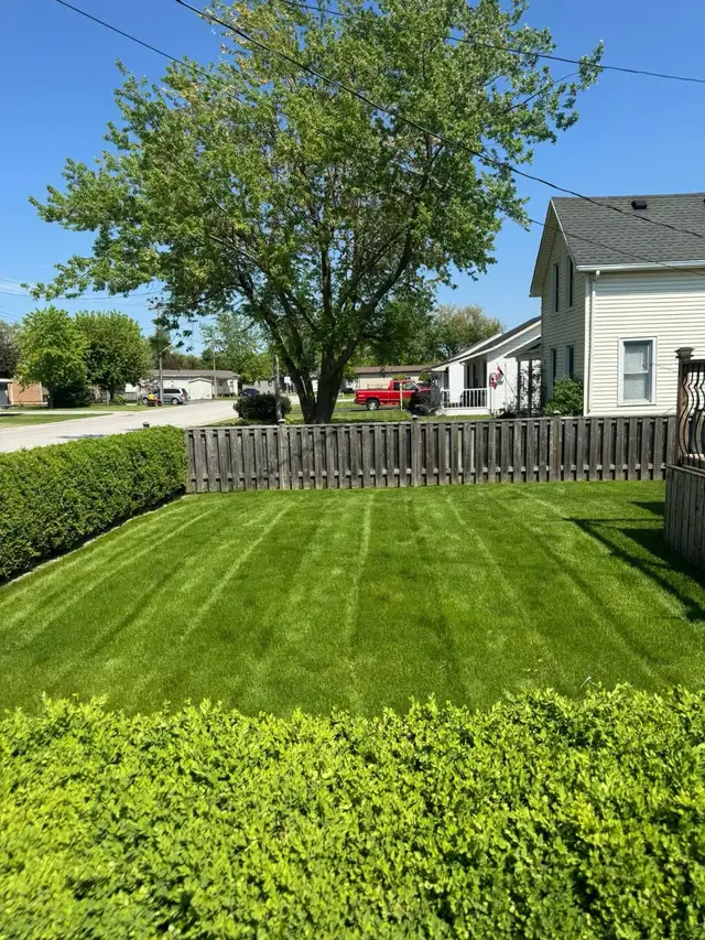 Grass Cutting - Photo 6