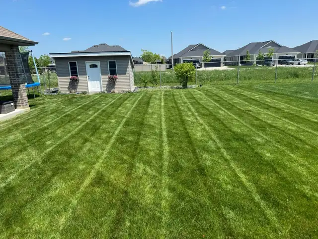 Grass Cutting - Photo 7